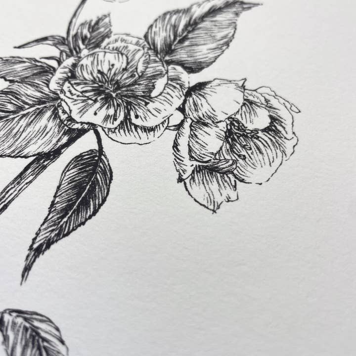 Kara Valentino Ffield Art - Wholesale Art Print - Pear Blossoms | Art Print 8