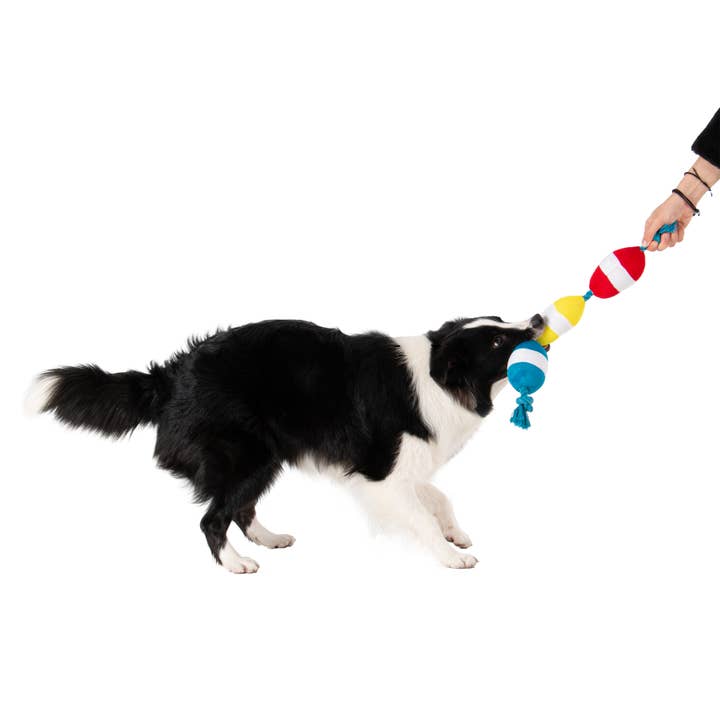 Original Territory - Wholesale Pet Rope Toy - Dog - Territory Buoys Floating Water Play Tug Dog Toy4