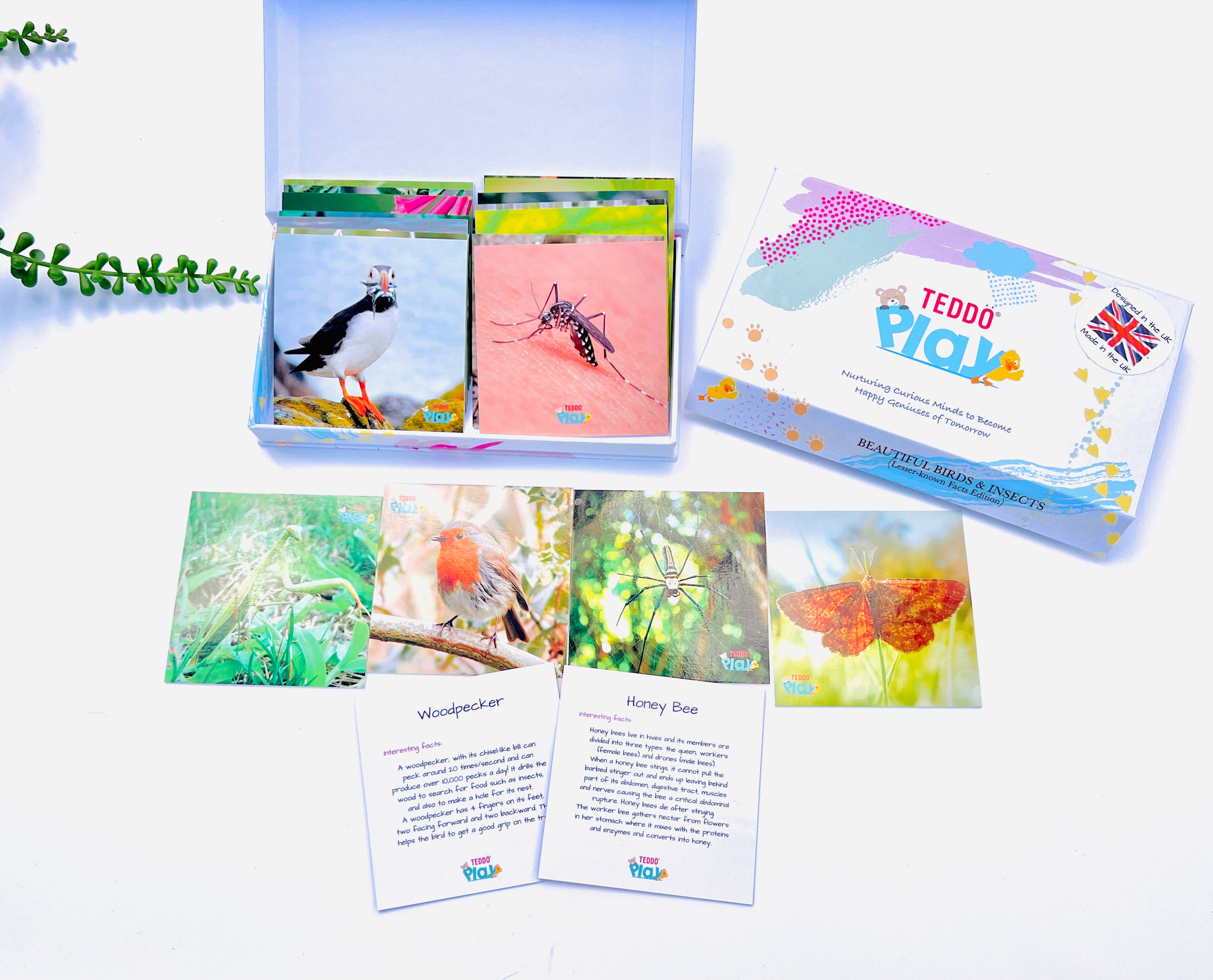Teddo Play - Venta al por mayor Tarjetas de aprendizaje - Niños y bebés - MiniS - Paquete de viaje con información sobre hermosos pájaros e insectos para niños2
