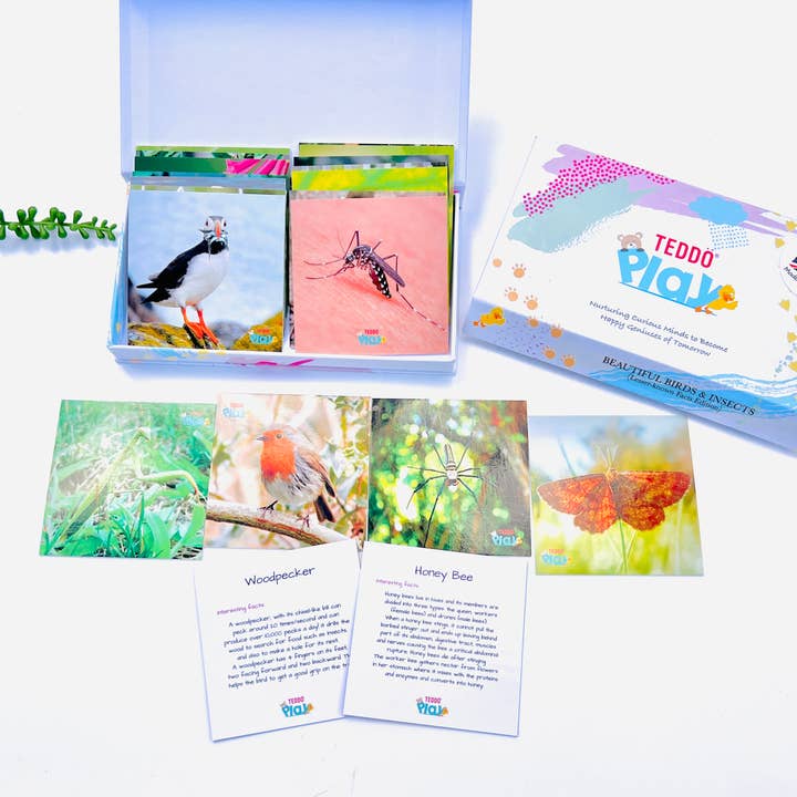 Teddo Play – Großhandel Lernkarten – Kind & Baby – MiniS - Wunderschöne Vögel & Insekten Fakten für Kinder Reisepack2