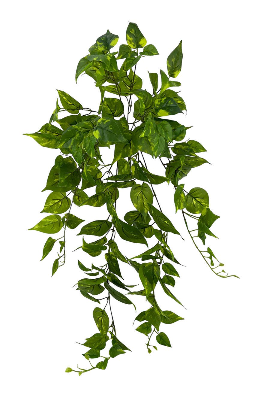 Aguilar Málaga - Wholesale Artificial Plant - HANGING POTHOS PLANT TACT.NATUR, 80cm0