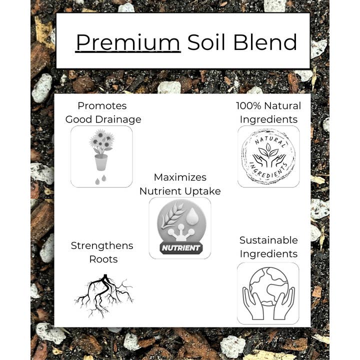 Happy Bunny Farms - Wholesale Planting/Potting Soil - Desert Bloom, Premium Potting Soil for Succulents and Cacti.2