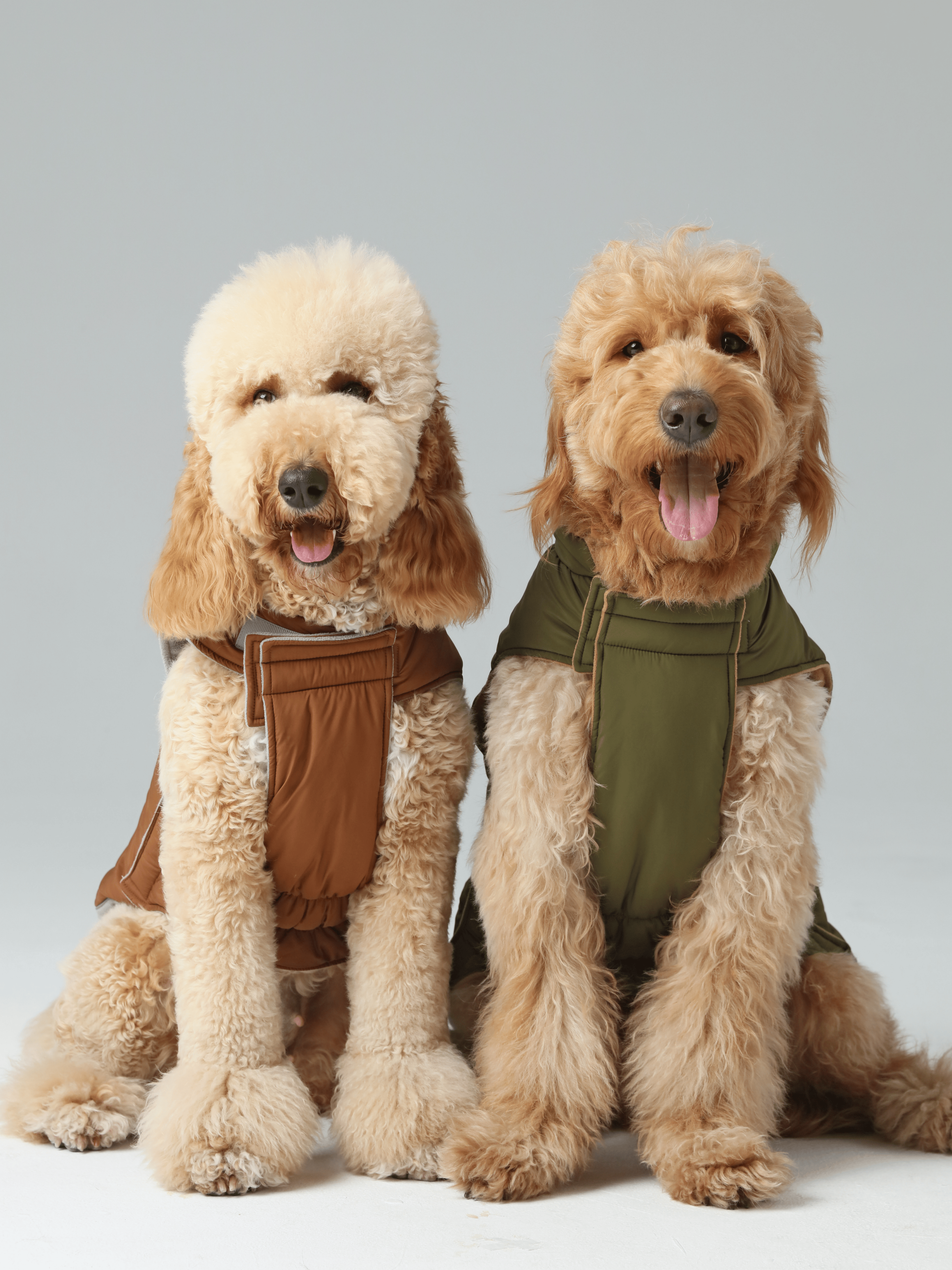 PEHOM - Wholesale Pet Vest - Dog - Reversible Dog Vest Jacket - Orange Grey15