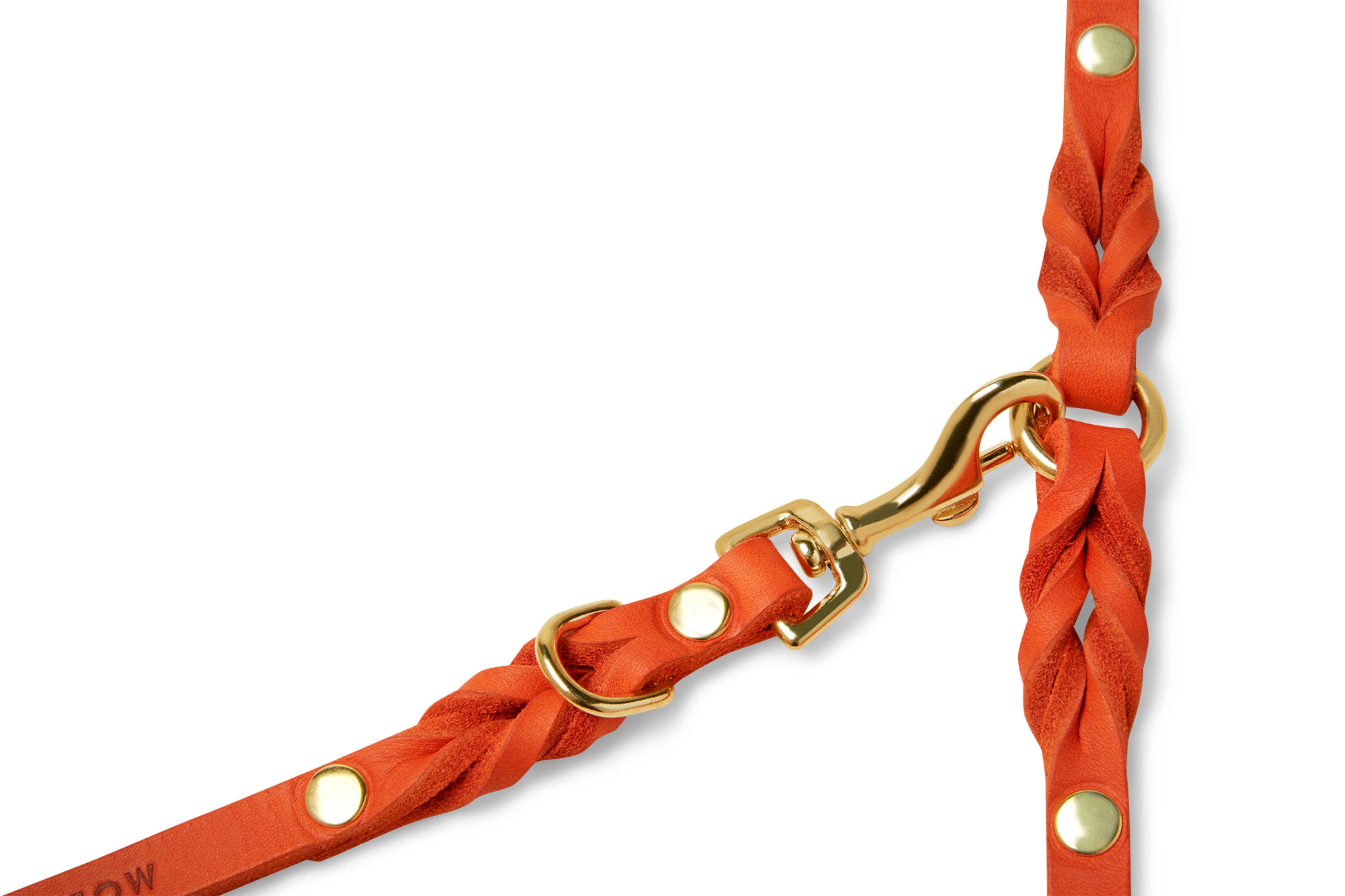 Molly and Stitch - Wholesale Pet Leash - Dog - Butter Leather 3x Adjustable Dog Leash - Mango9
