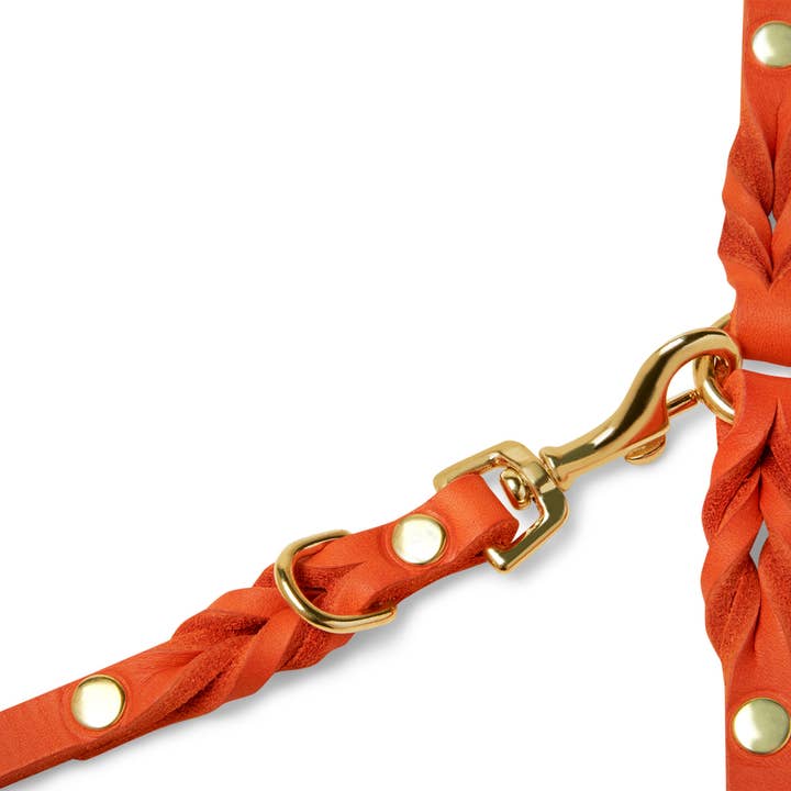 Molly and Stitch - Wholesale Pet Leash - Dog - Butter Leather 3x Adjustable Dog Leash - Mango9