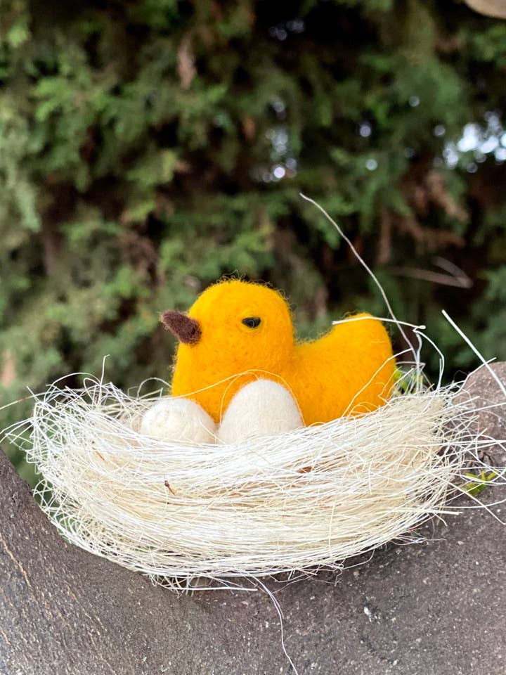 Poussin Turuleto pour la vente par Adopta un hada