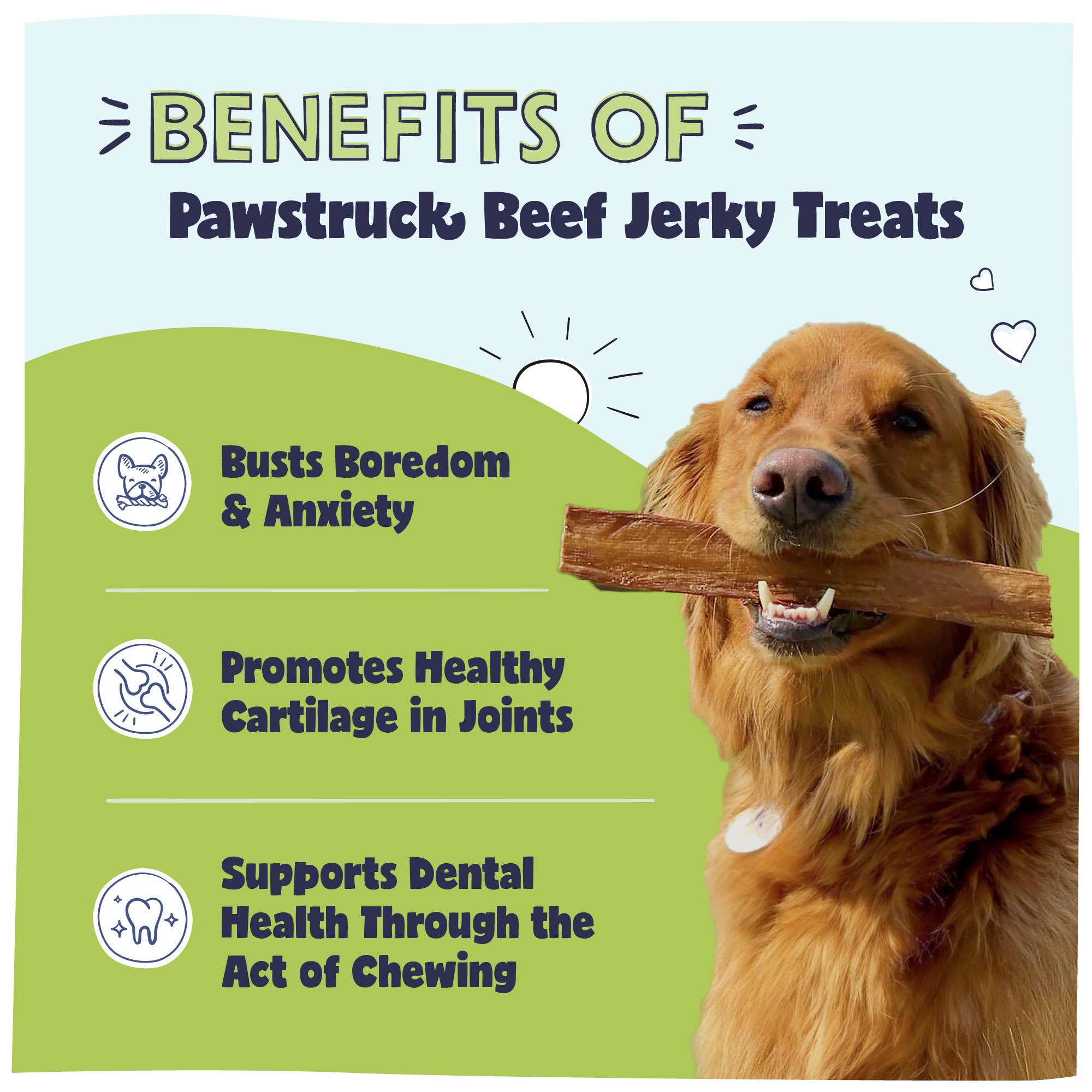 Pawstruck - Wholesale Pet Treats - Dog - Natural Beef Jerky Dog Treat Chews Support Joint Health1