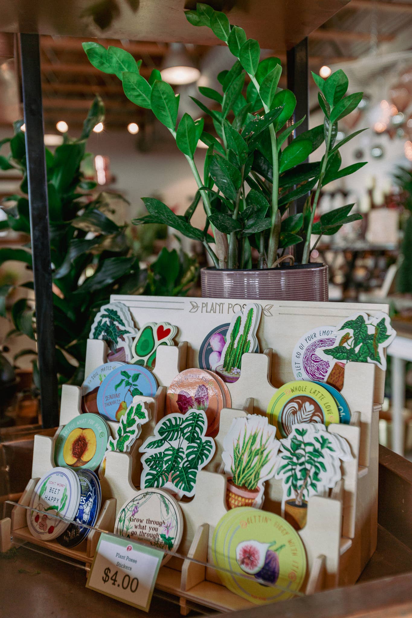 Plant Posse – wholesale Retailer display – Paper & novelty – Sticker Display11