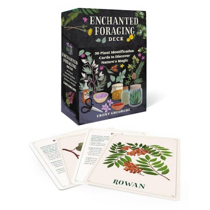 Enchanted Foraging Plant Identification Cards (RRP $32.99) for wholesale by WONDER IMPORTS AUSTRALIA