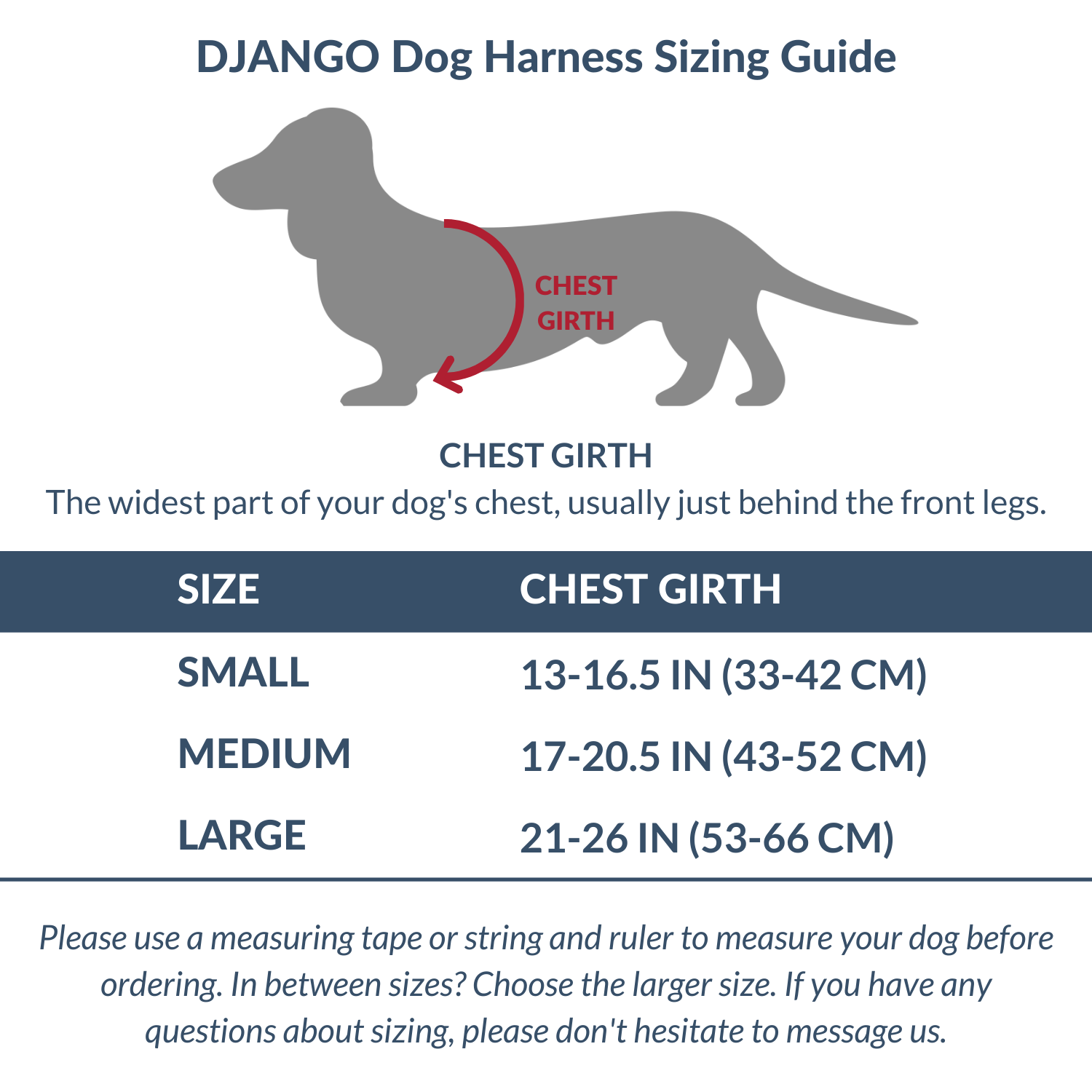 DJANGO - Wholesale Pet Harness - Dog - Adventure Dog Harness - Pacific Blue8