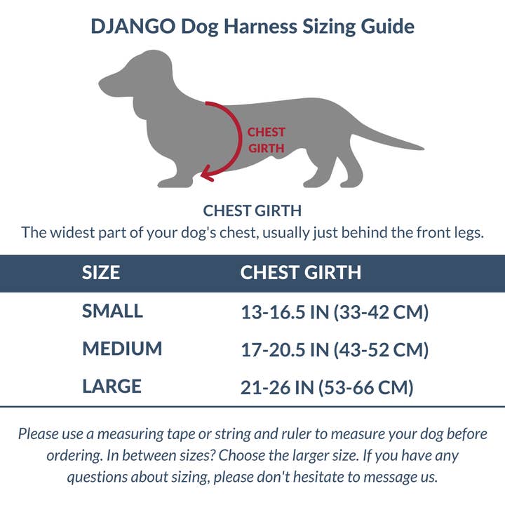DJANGO - Wholesale Pet Harness - Dog - Adventure Dog Harness - Pacific Blue8