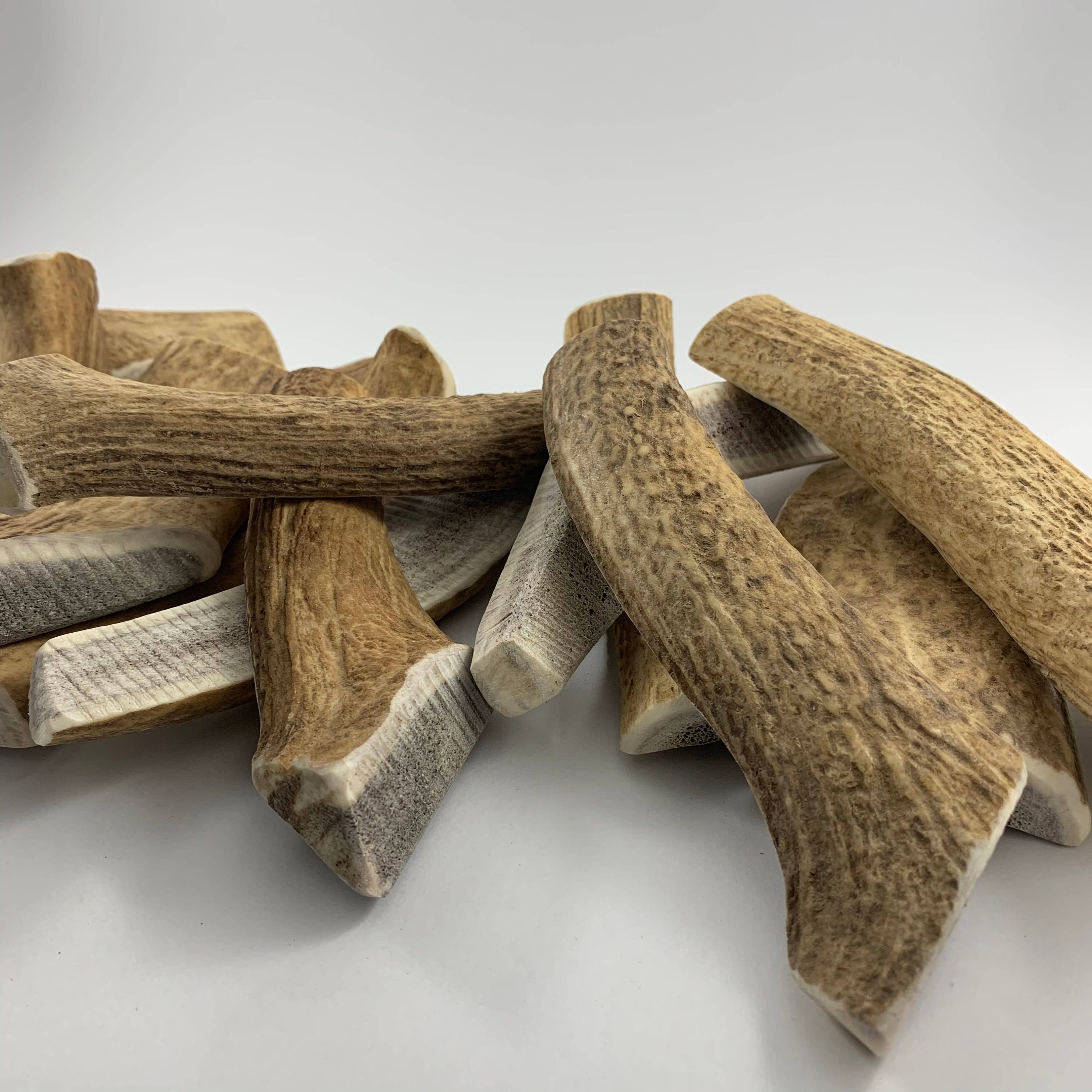 Pawsome Pet Toys - Wholesale Pet Chew Toy - Dog - L size Natural deer antler1