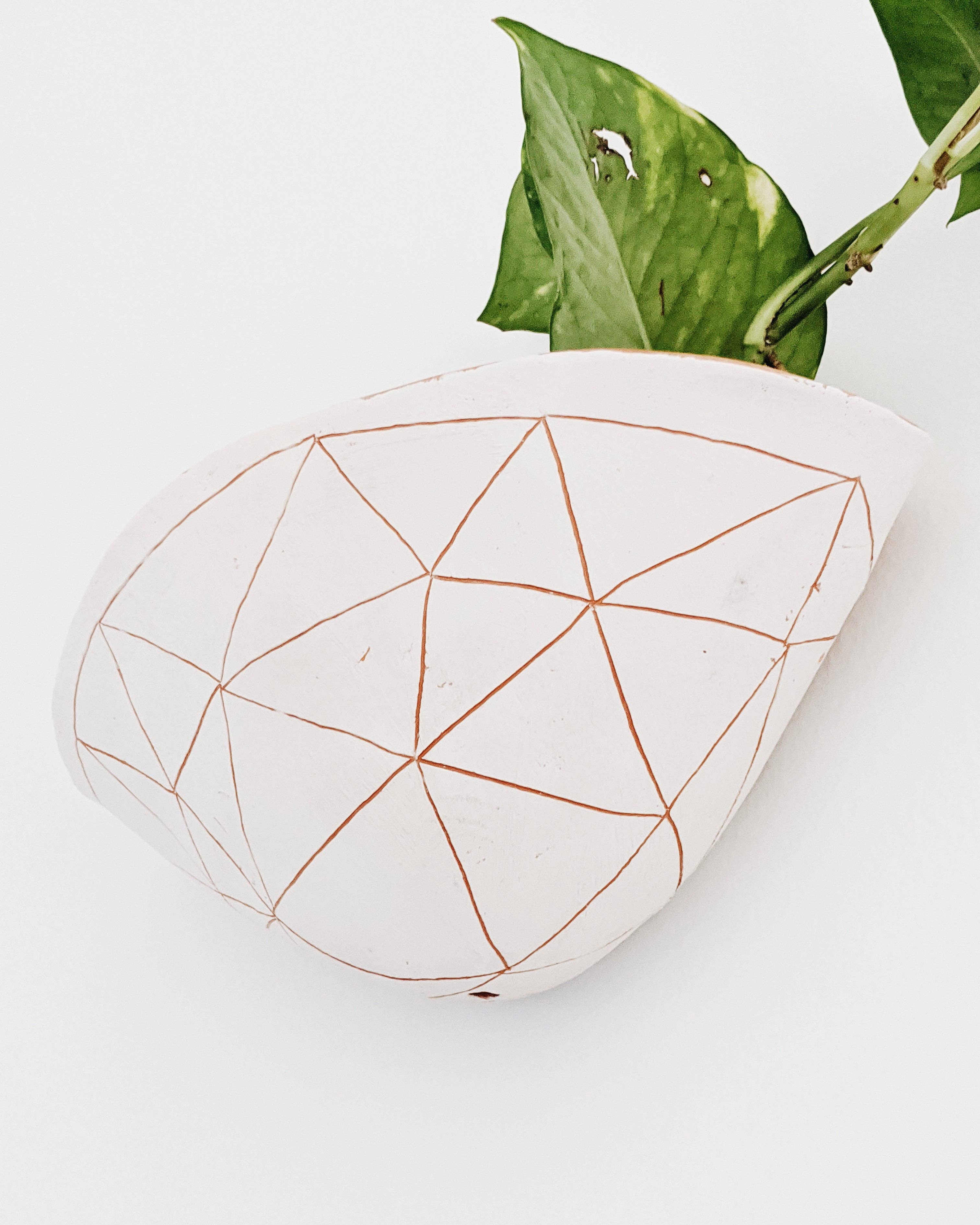 Half Light Honey - Wholesale Wall Planter - GEOTRIANGLE - 7x4" Wide Wall Pocket Planter - White & Red Earthenware Clay2