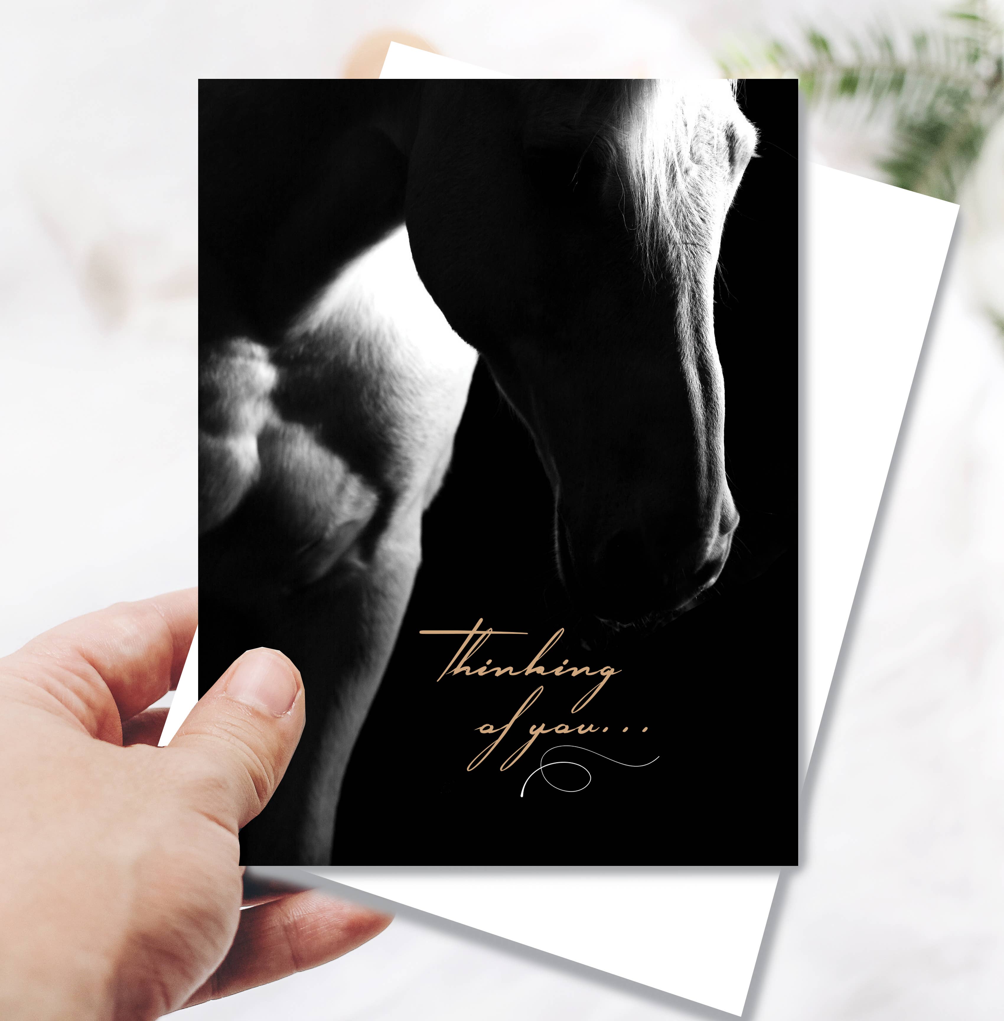 Horse Hollow Press - Wholesale Sympathy Card - Horse Sympathy Greeting Card / Thinking of you9