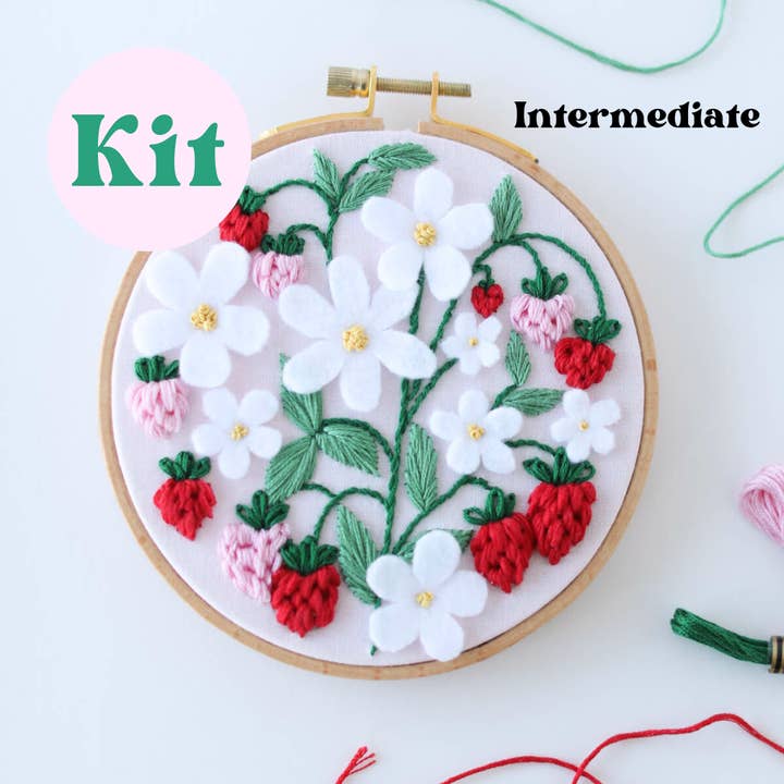 Kit de broderie à la main avancé de 5 po pour débutants - Strawberry Patch pour la vente par Little Stitchy Bee Embroidery