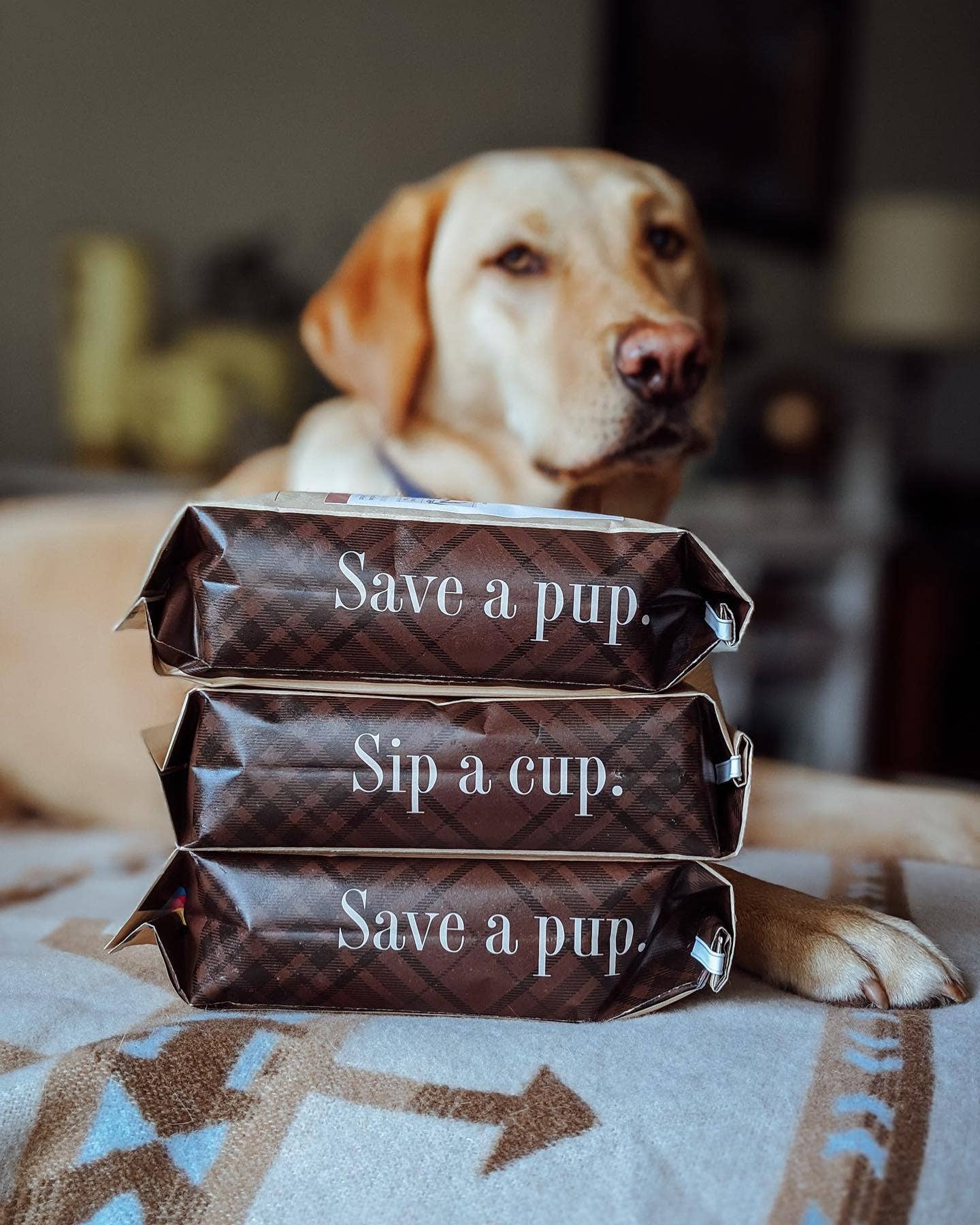 Rescue Coffee Co. – wholesale Kaffebönor – Bark & Bite | Mycket mörkrost | 454 g påse | Ekologiskt kaffe5