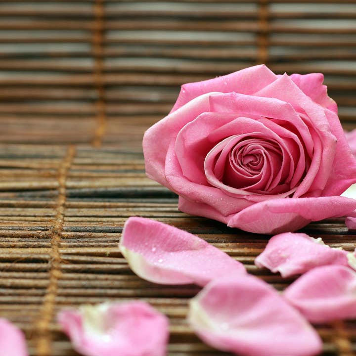 Rustic Rose Incense Sticks for wholesale by Beaches of Tunisia, LLC