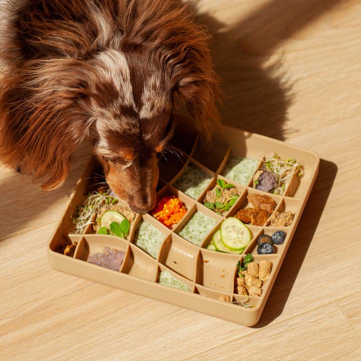 ollie b. good - Wholesale Pet Bowl - Cat/Dog - wavies slow feeder bowl | mushroom3