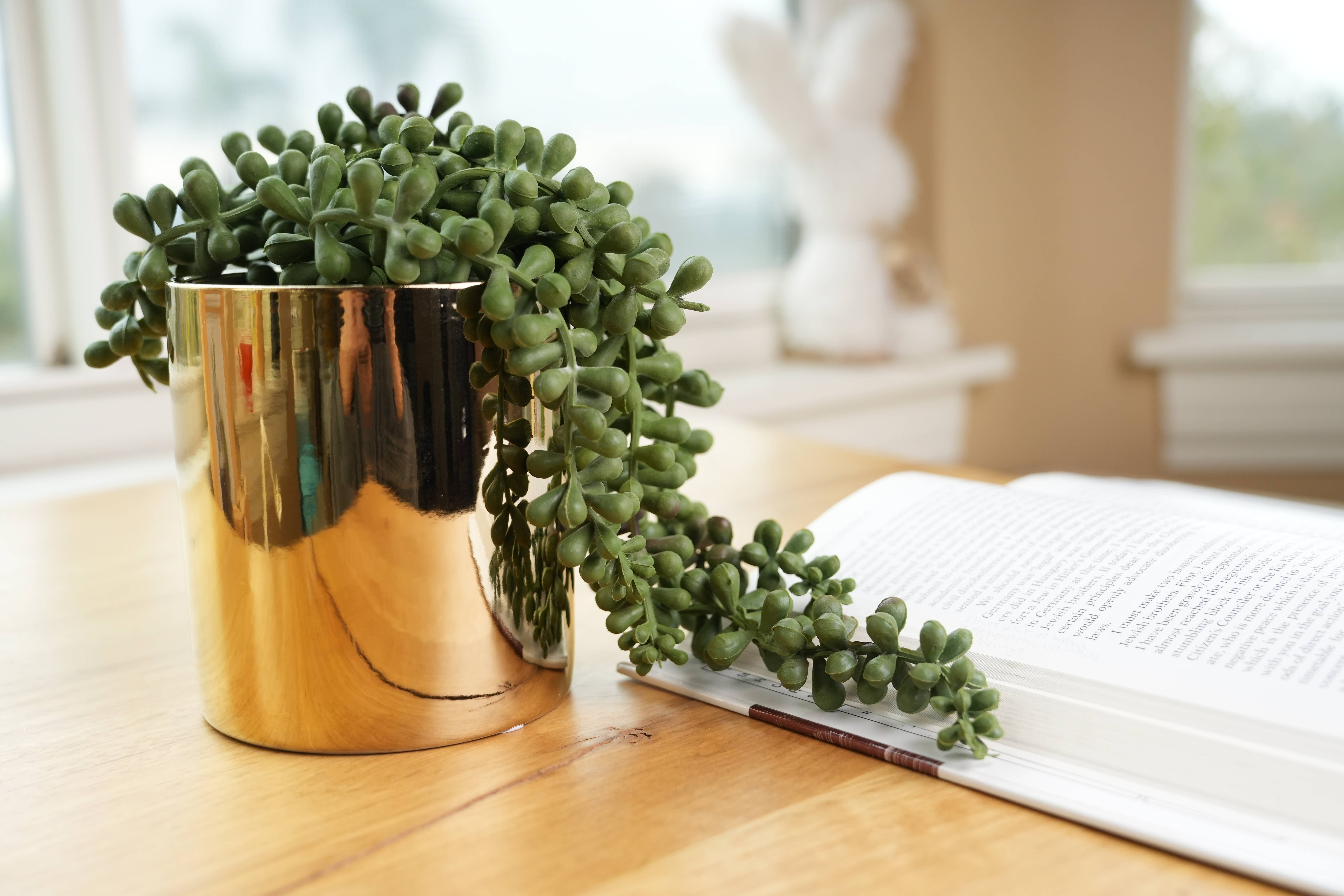 Flora Bunda Inc - Wholesale Succulent - Trailing Faux Succulent in Shiny Gold Pot1