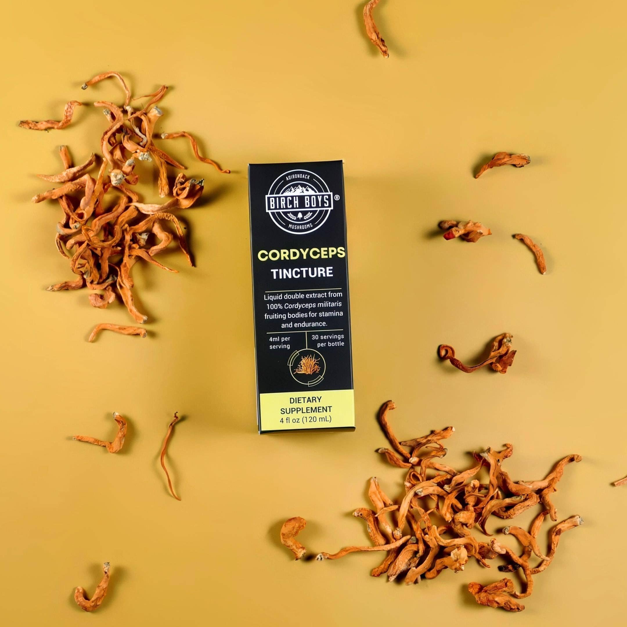 Birch Boys - Wholesale Tincture - Cordyceps Tincture2