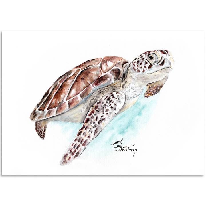 Green Sea Turtle for wholesale by Moonlight & Grace