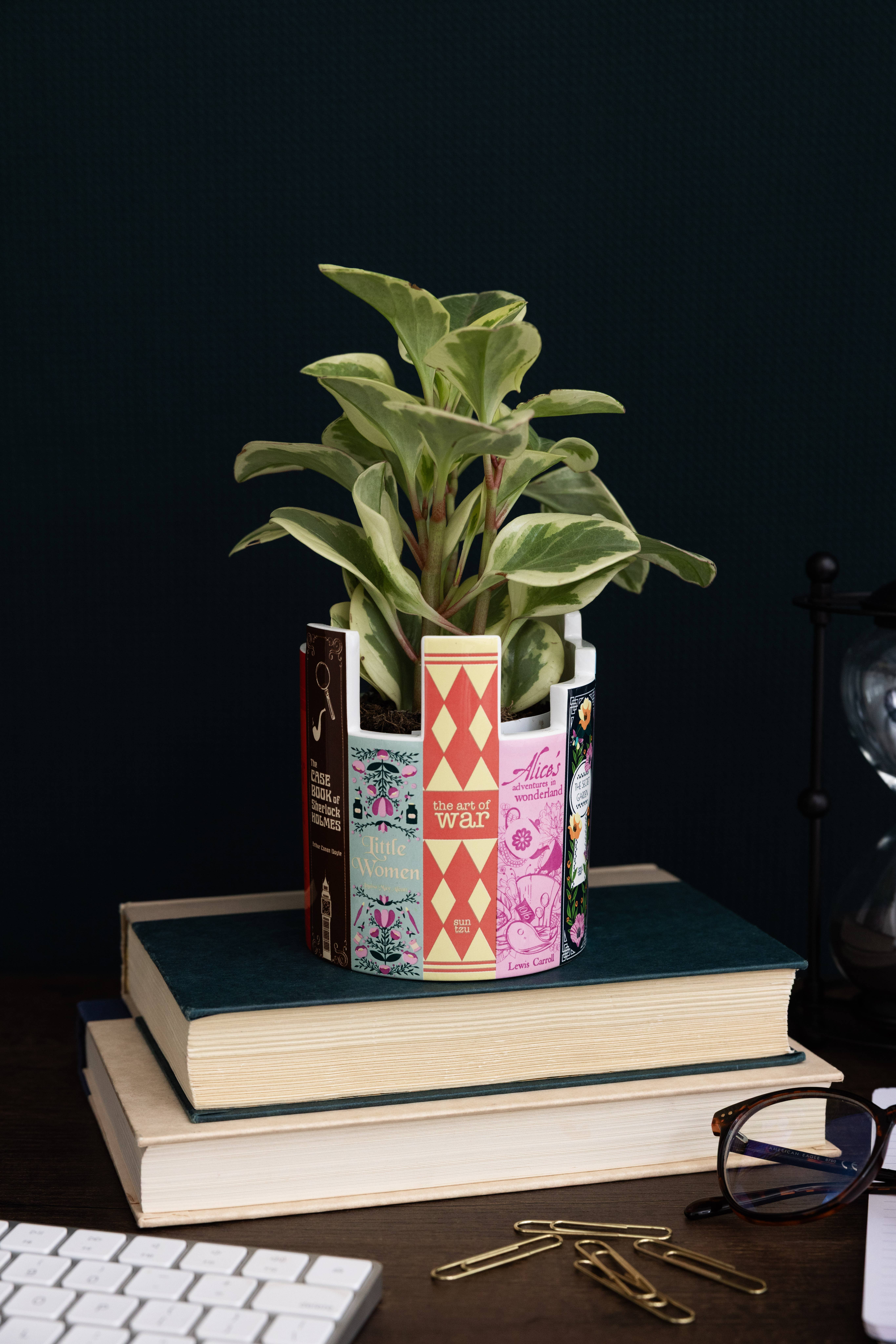 Steel Mill and Co. - Wholesale Plant Pot - Desk Pot, Classic Books2