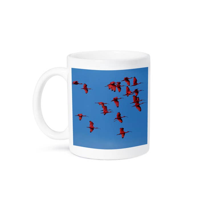 3dRose - Wholesale Coffee Mug - 3dRose, Scarlet ibis, Para State, Brazil, Mug8
