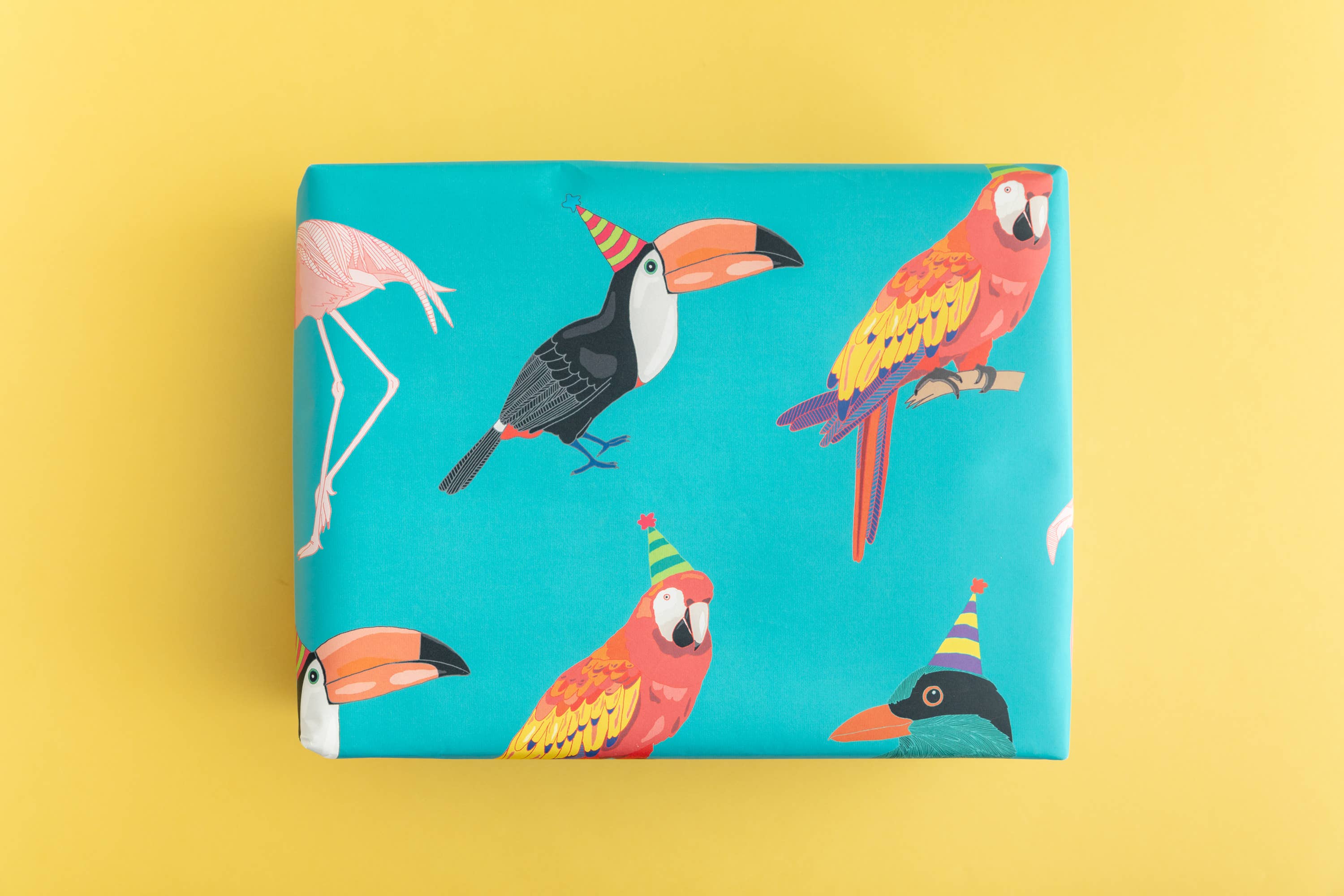 You've Got Pen On Your Face - Wholesale Flat Wrap - Tropical Birds Gift Wrap | Wrapping Paper Sheets | Craft3