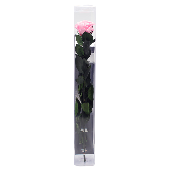 Concari.flores Preservadas - Wholesale Artificial Flowers - ROSE WITH PRESERVED STEM7