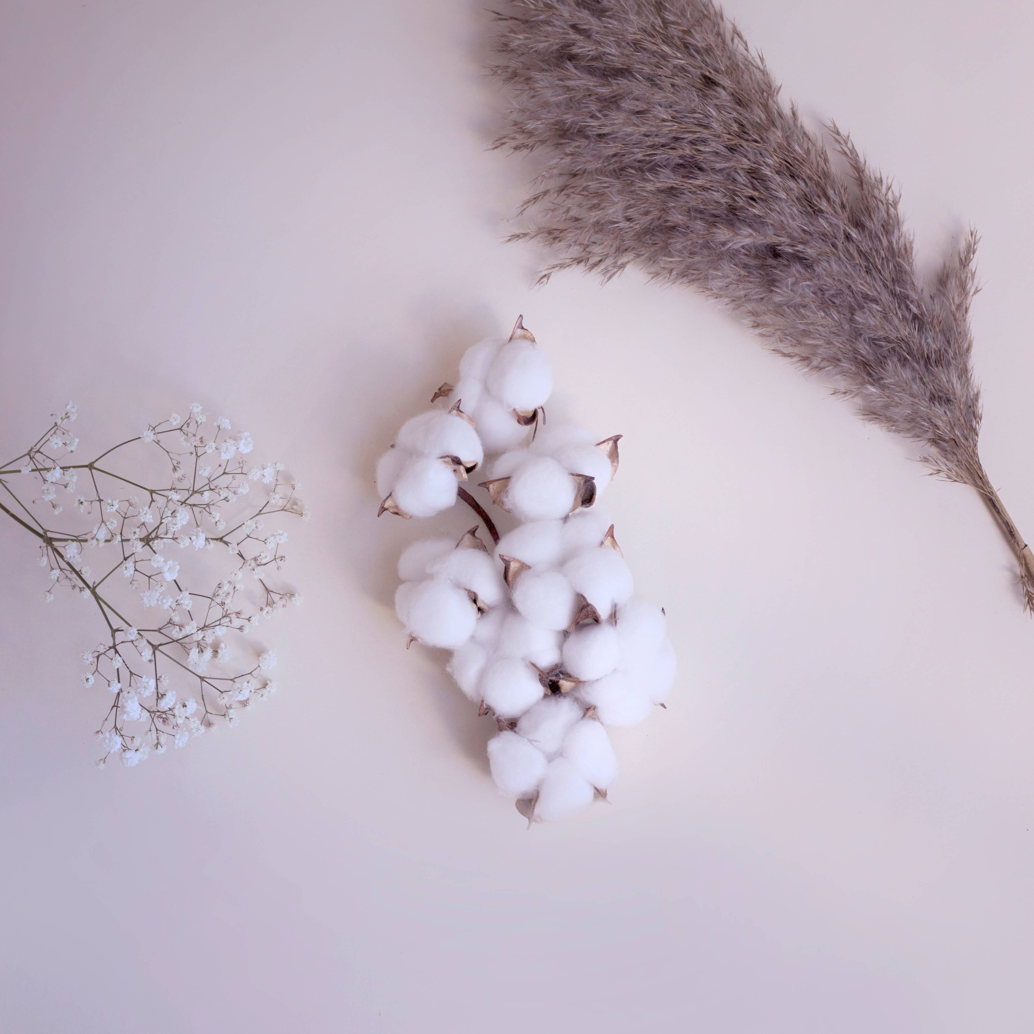 SCENTORIE. - Wholesale Travel Candles - COSY BLANKET Rapeseed Wax Scented Candle 110g/20h Wood Wick1