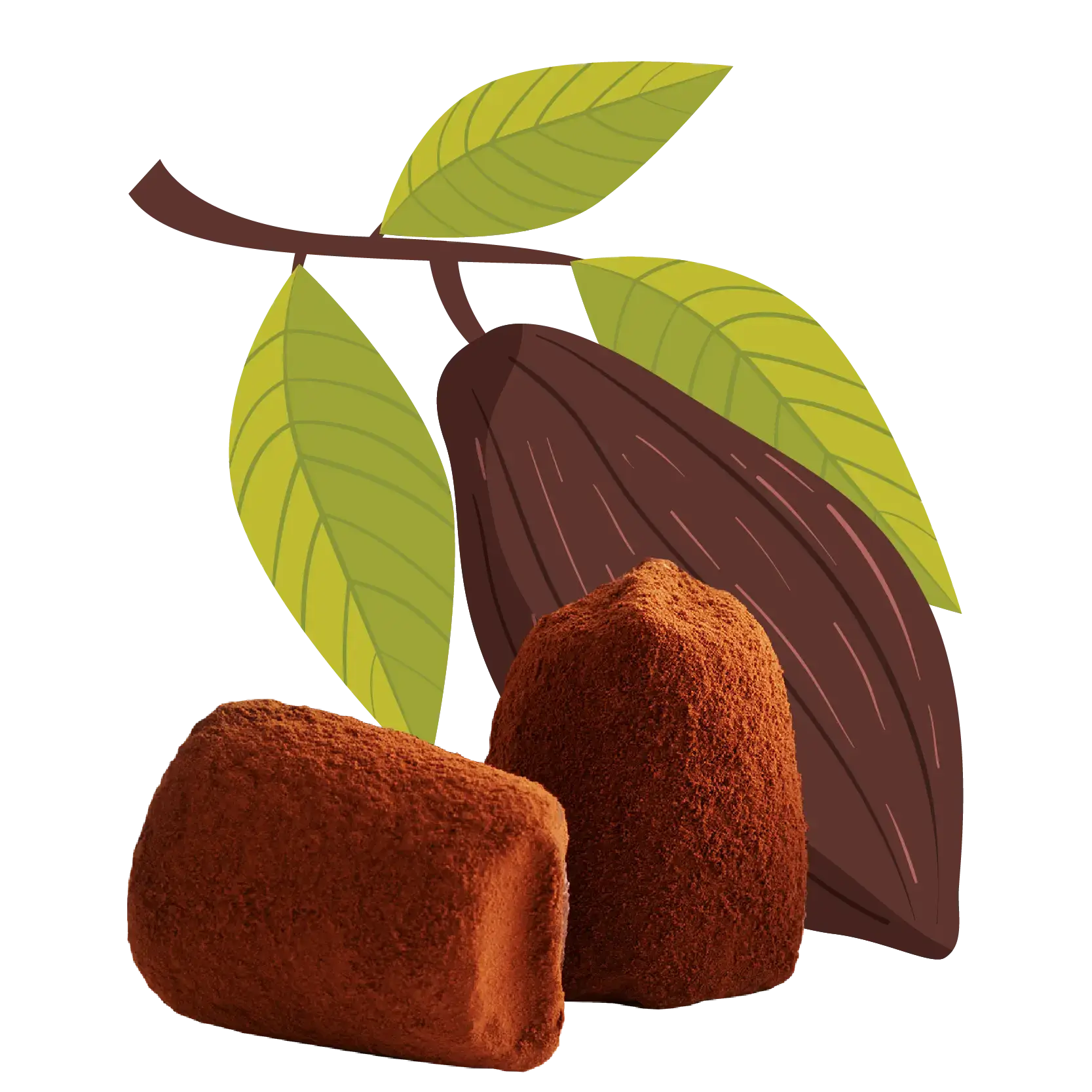 WOW Chocolao! – wholesale Chocolate-covered sweets – Cacao nibs chocolate truffles - BULK0