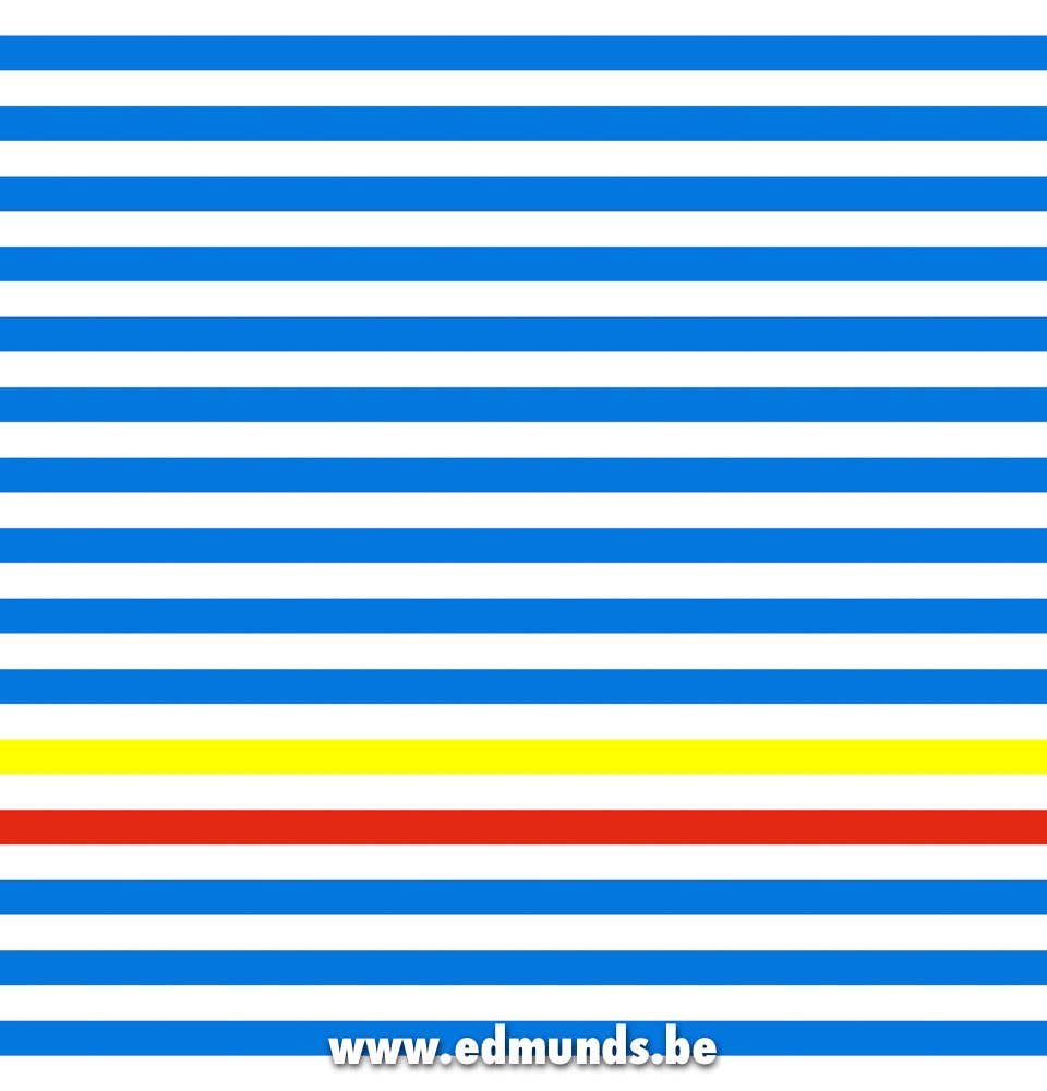 Edmunds - Wholesale Non-Medical Disposable Mask - Mask - Beach Boys3