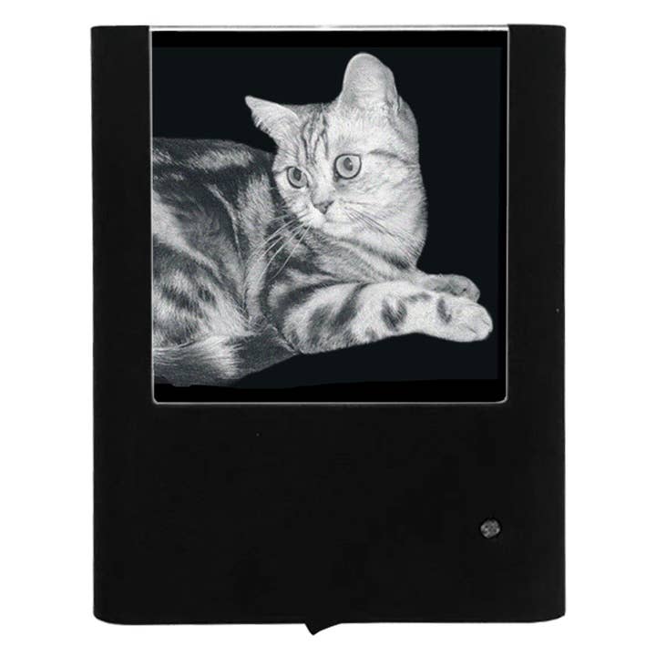 Engraved British Short Hair for wholesale by Nightlight Studio