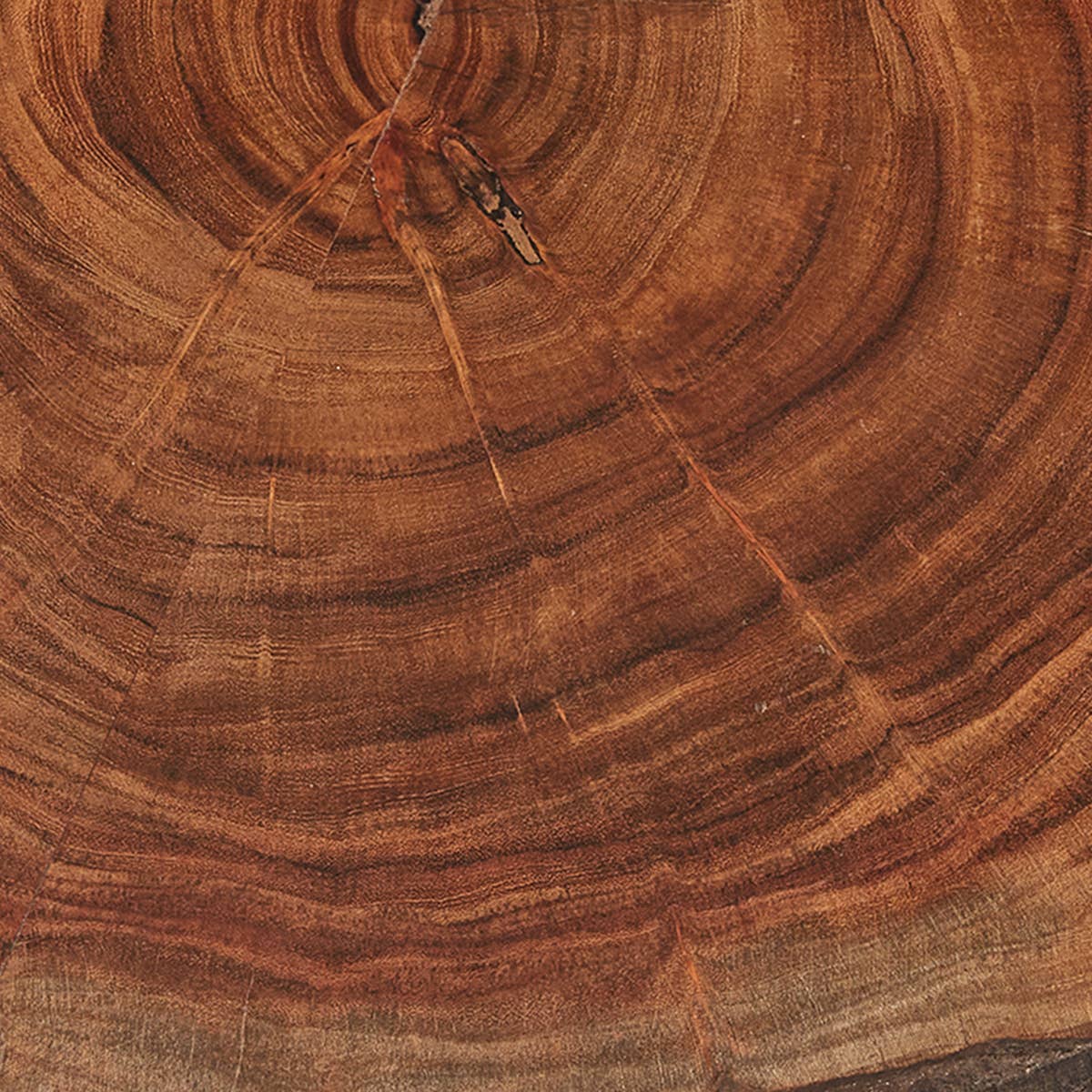 Park Designs - Wholesale Lazy Susan - Bark Edge Lazy Susan2