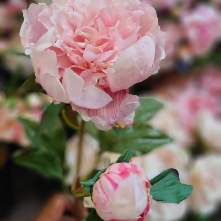 1947 / Berkeley Florist Supply – Großhandel Künstliche Blumen – Elegante Seiden-Pfingstrosen4