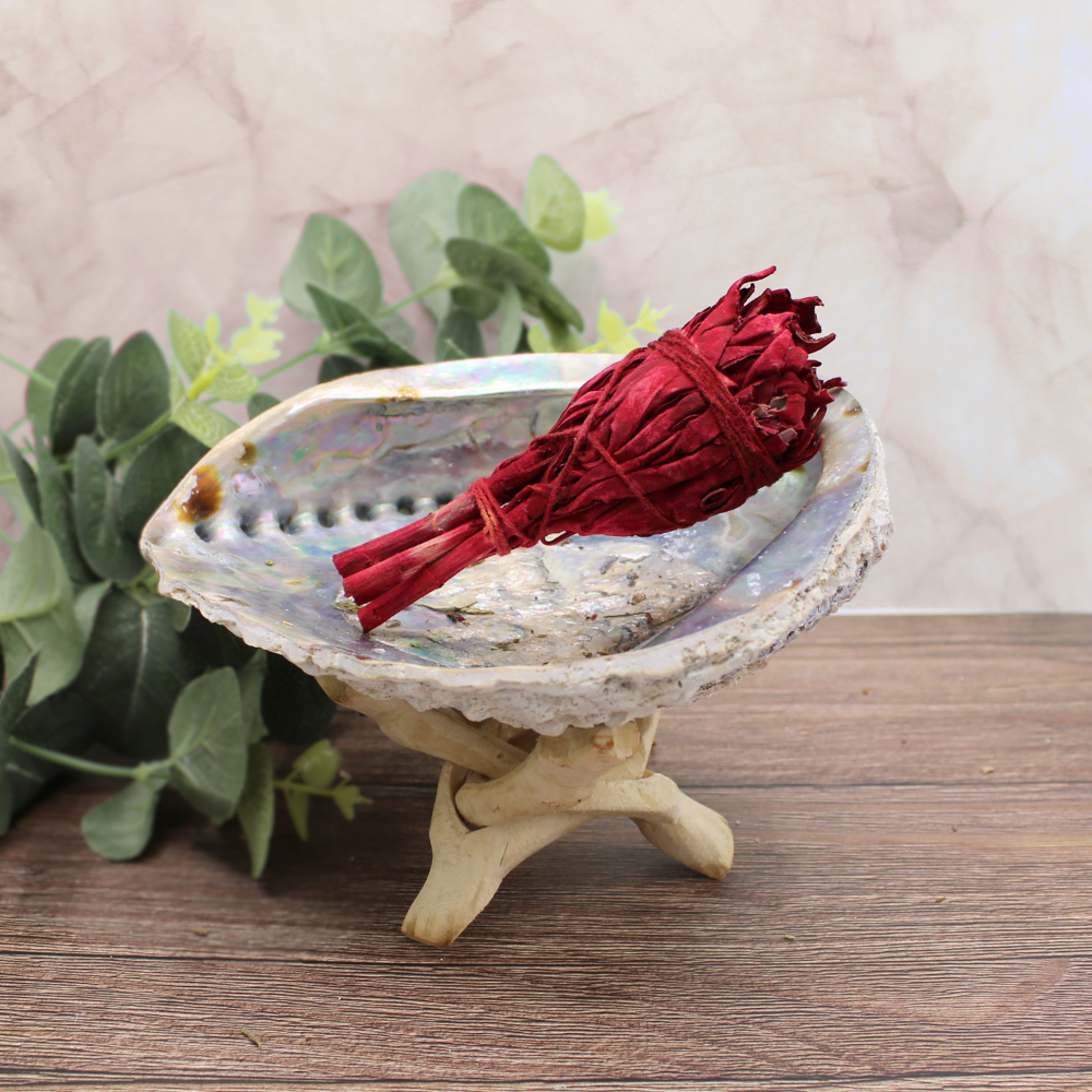 Green Tree – wholesale Sage bundle – Dragonsblood Torch Sage 10 cm2