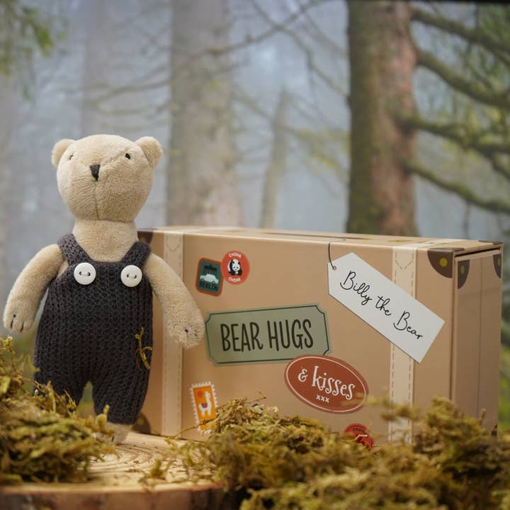 Wild Wanderers 'Billy The Bear' Matchbox Toy for wholesale by CGB Giftware