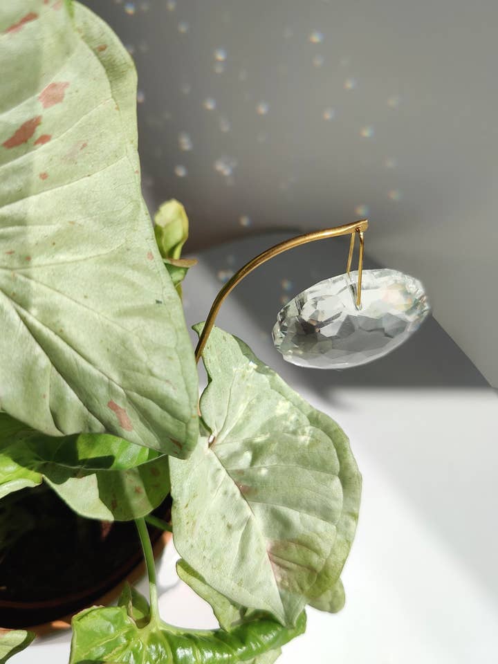 POPPY • Atrapasol para plantar de latón y cristal para venta al por mayor de Atelier Intuitive