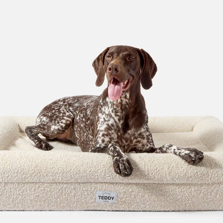 TEDDY LONDON – wholesale Husdjursbädd – Katt och hund – STOR BOUCLE HUND OCH KATT SÄNG0