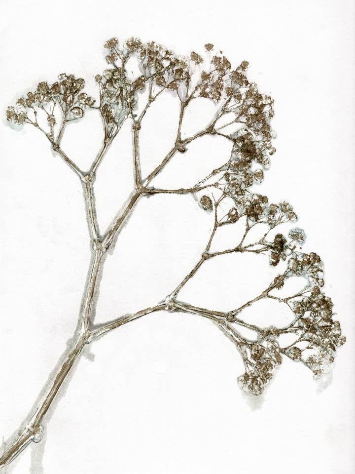 Kaki Gypso A5 pour la vente par PERNILLE FOLCARELLI