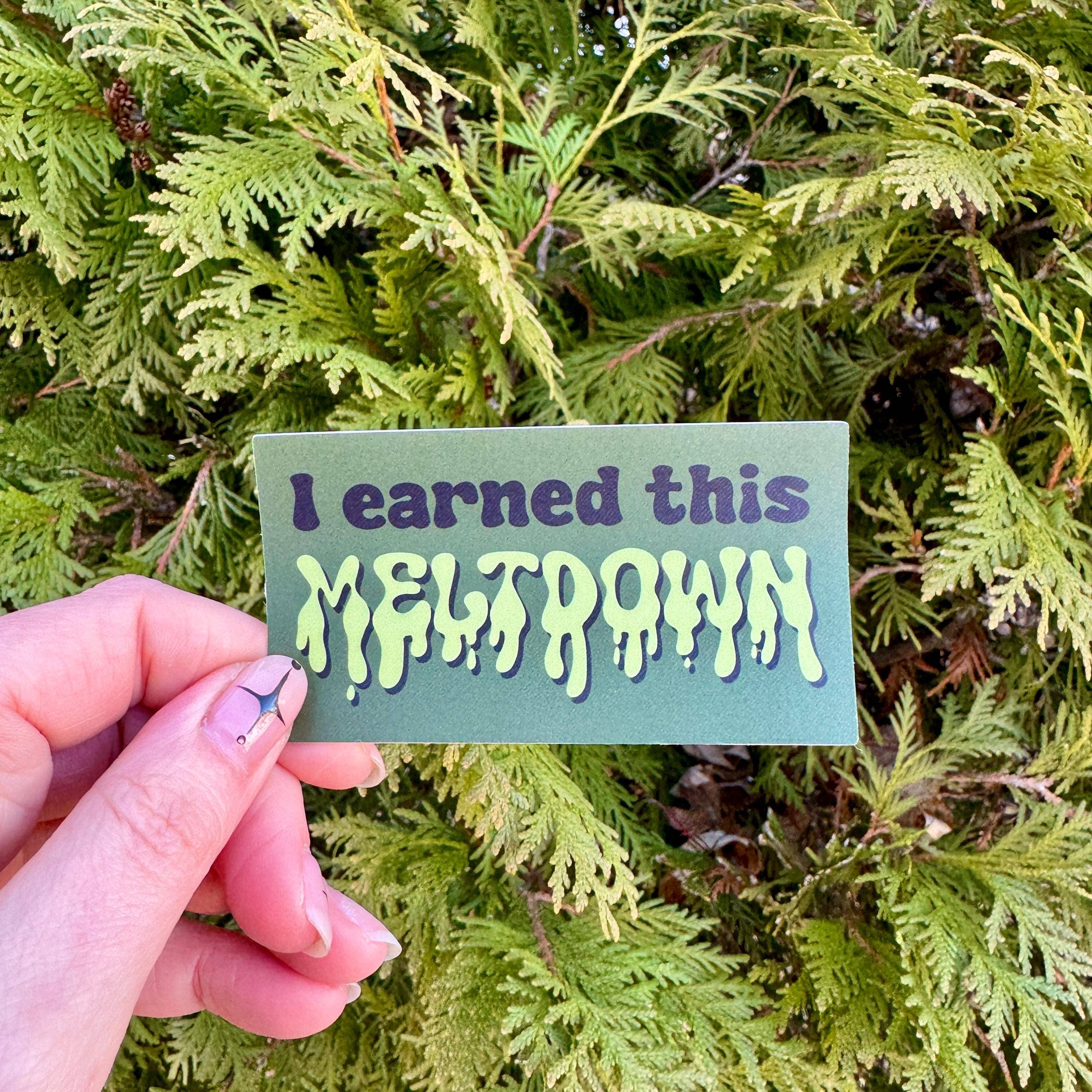 Hawburns Studio - Wholesale Sticker - I Earned This Meltdown Sticker Waterproof Vinyl Funny 1