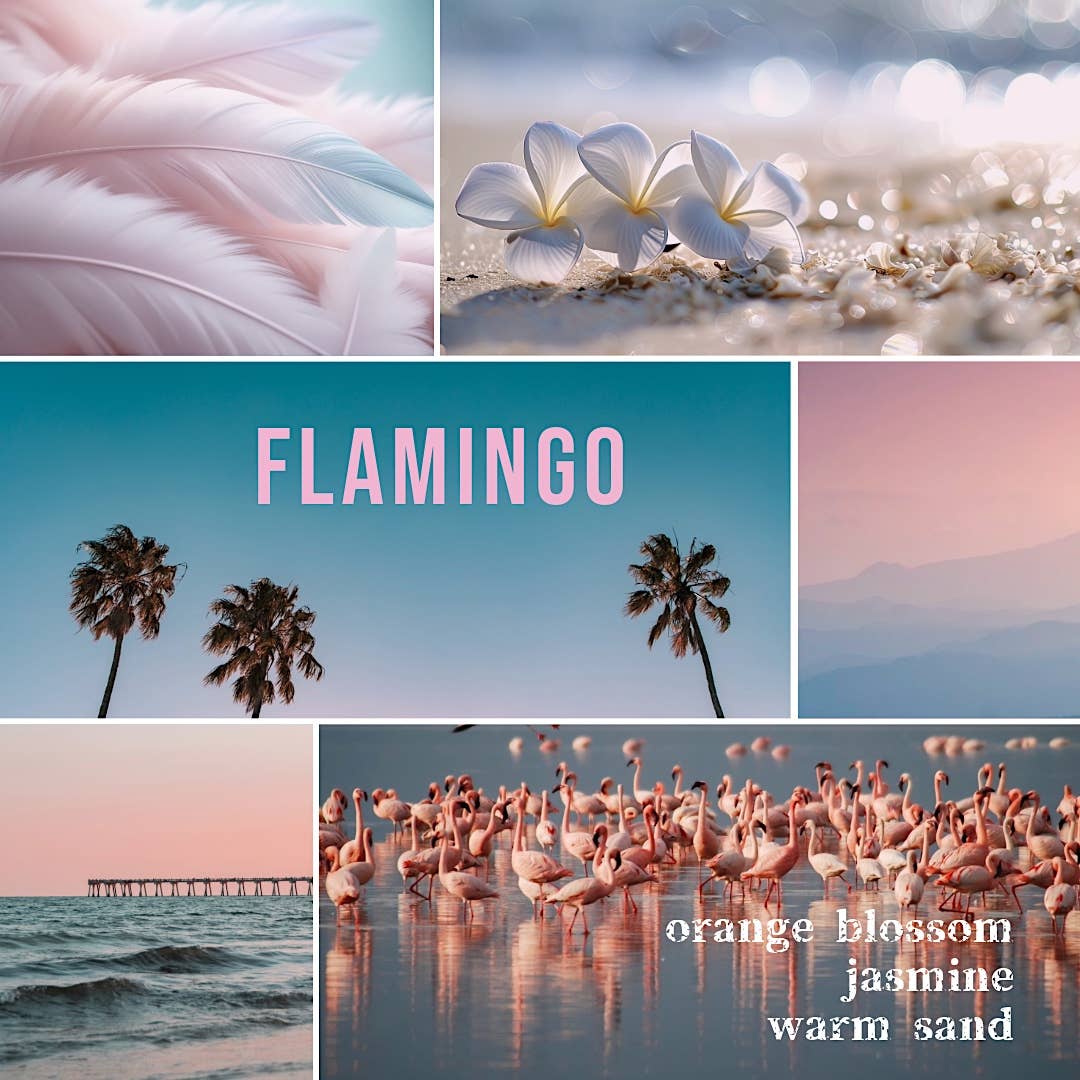 Bougie Vida - Vente Bougie en bocal - Bougie Signature en Verre de Soja 8 oz Flamant Rose2