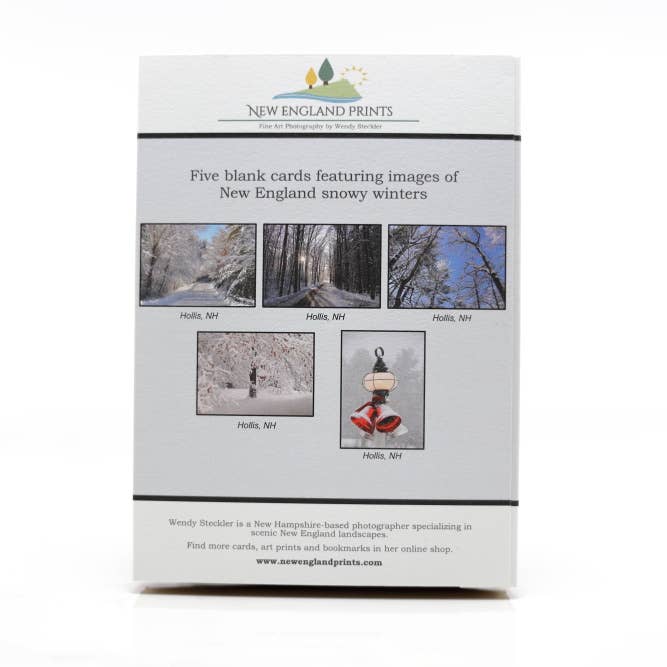 New England Prints - Wholesale Stationery/Notecard Set - Box of 5 All Occasion New England Winter Blank Note Cards1