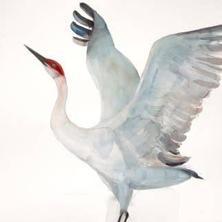 Sandhill Crane ~ "Bliss" ~ "Oh, to Fly" ~ Giclée Print for wholesale by Holly Wach Art LLC