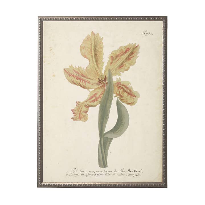 Vintage flower C bookplate on distressed background for wholesale by Antique Curiosities Inc