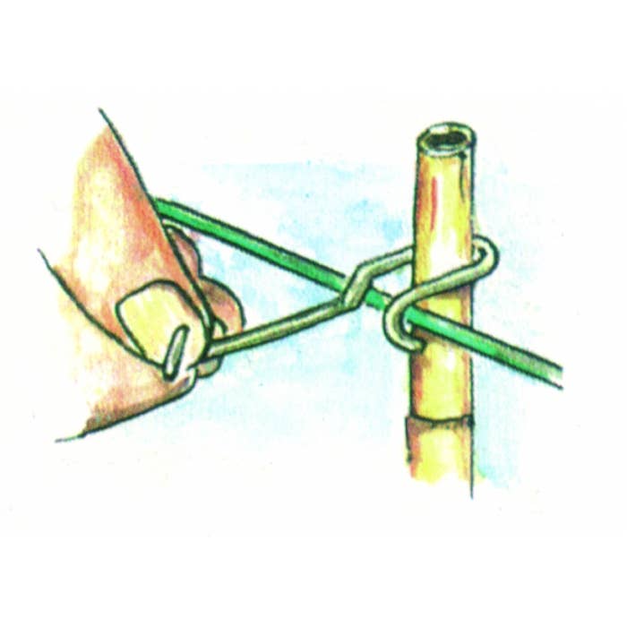 Growstore.nu - Vendita all'ingrosso Attrezzi da giardino - Morsetto per canne di bambù da 10 a 12 mm1