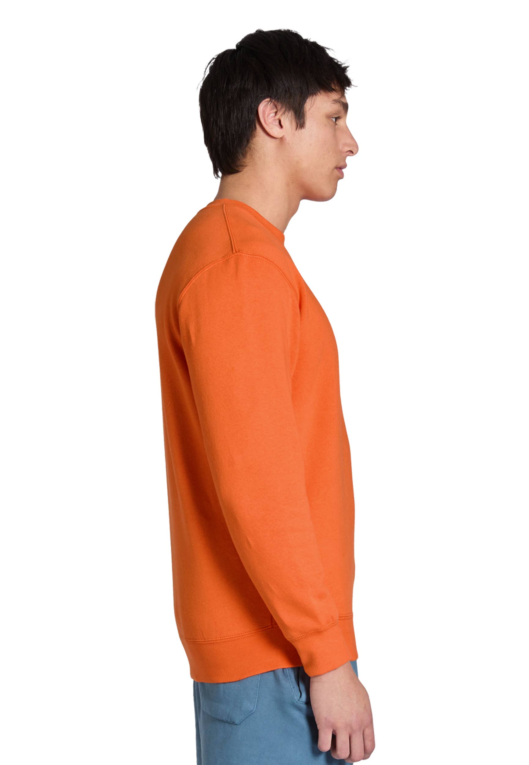 Lane Seven Apparel - Wholesale Sweatshirt - Unisex - Premium Crewneck Sweatshirt - For Men & Women87