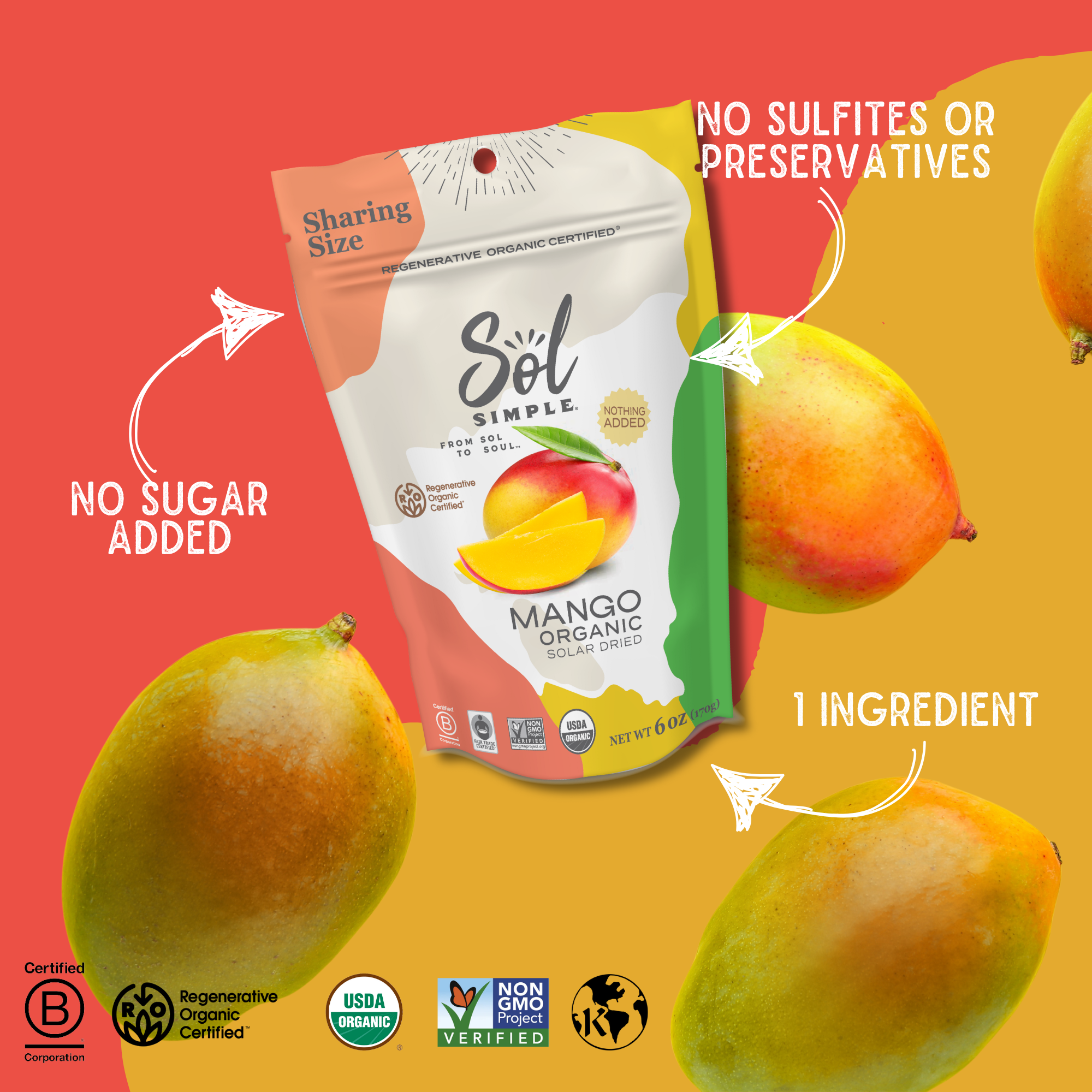 Sol Simple – wholesale Dried/dehydrated fruit – Regenerative Organic Certified Solar Dried Mango - 6oz1