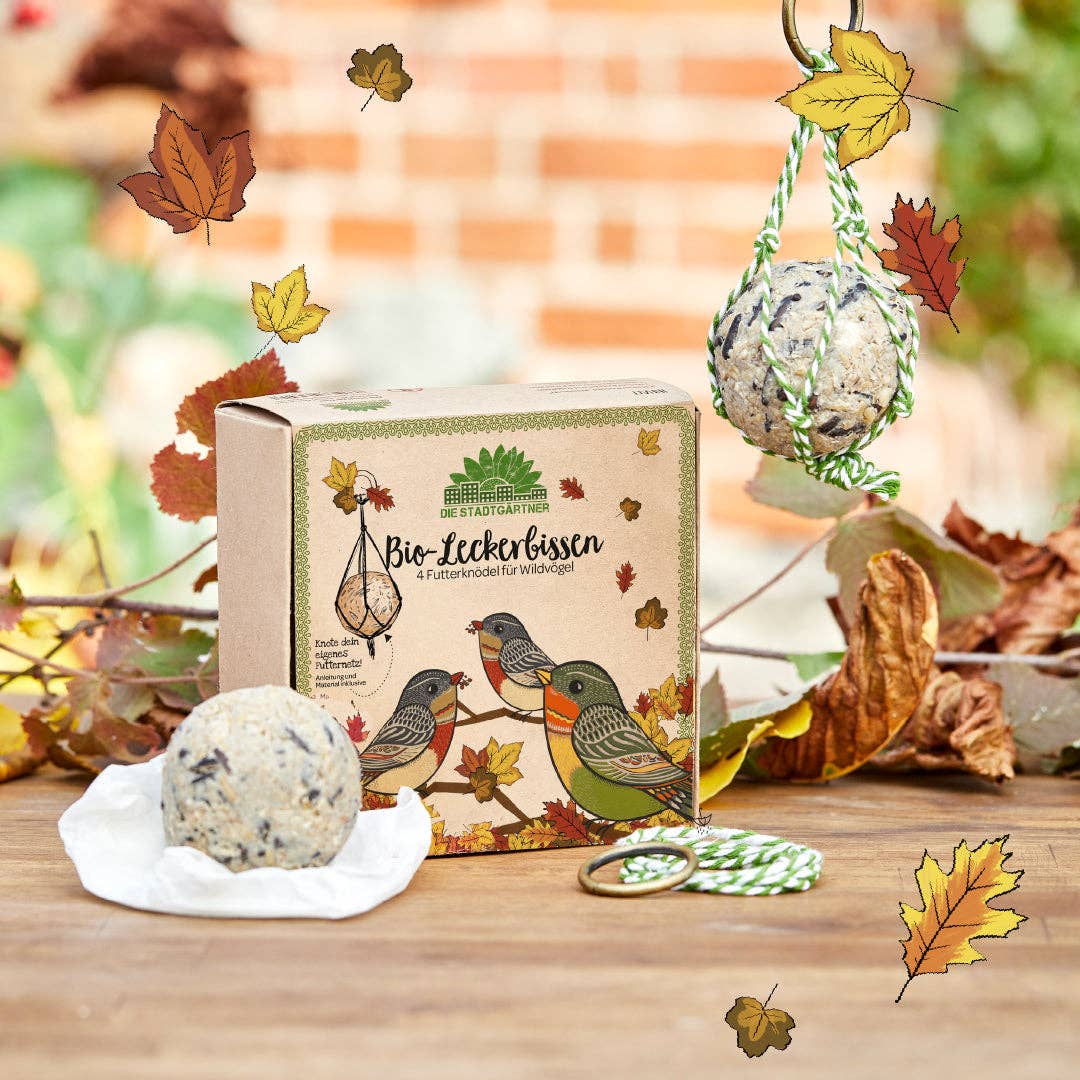 TDJ Stadtgärtner GmbH - Wholesale Bird Feeder - Delicacy - Organic Gourmet 4-pack