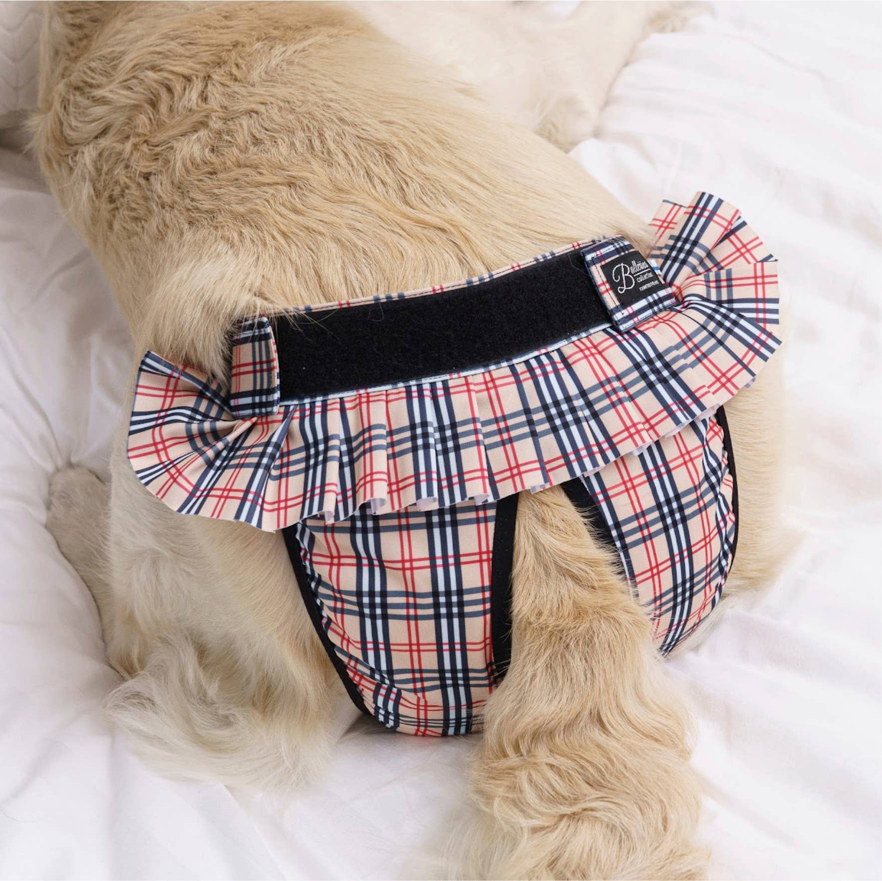 FINNERO – wholesale Husdjursblöja - Hund – FINNERO Ballerina hundhygienbyxor, 5 färger, tvättbara26